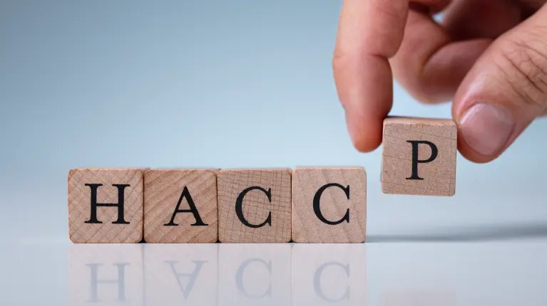 Onde Encontrar Formação HACCP Gratuita em Portugal
